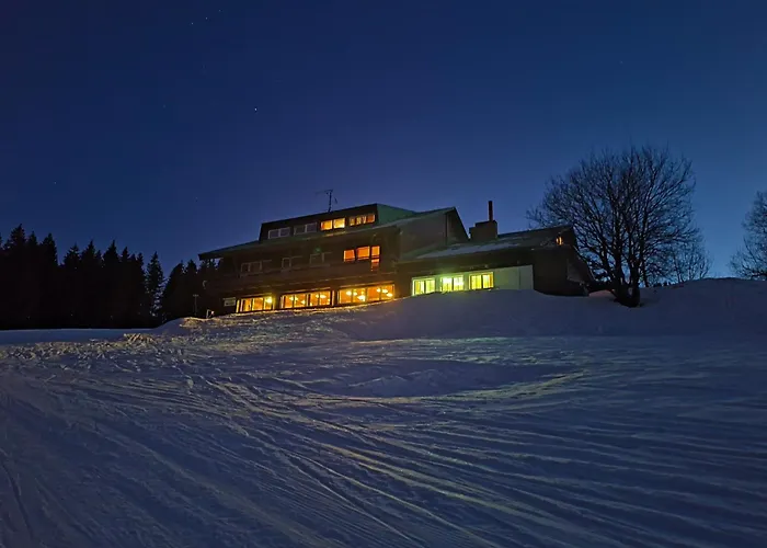 Polarka *